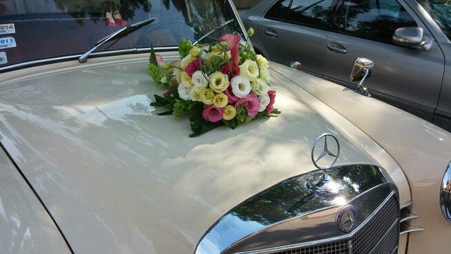 Mercedes ponton kubuś w120 rok 1960