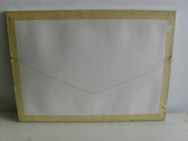 Obraz - Haft krzyżykowy - Owoce - 66x47 cm.