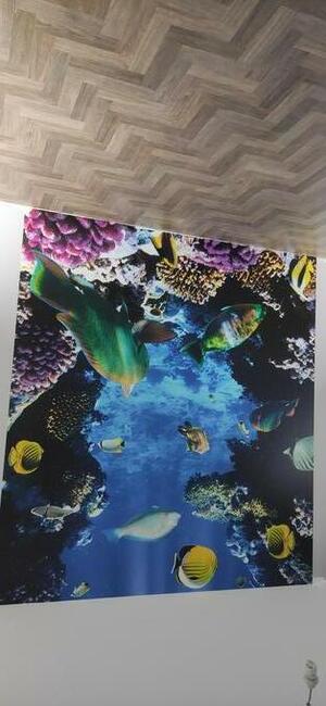 malowanie tapetowanie gładz panele