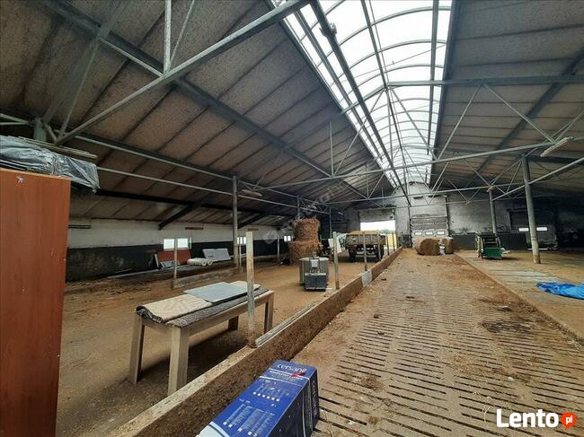 Na sprzedaż działki rolne w miejscowości Skurpie zabudowane