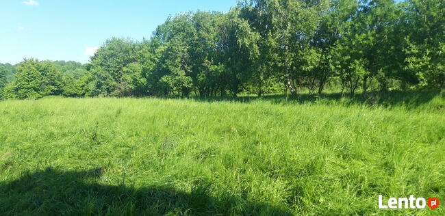 Sprzedam działkę rolną