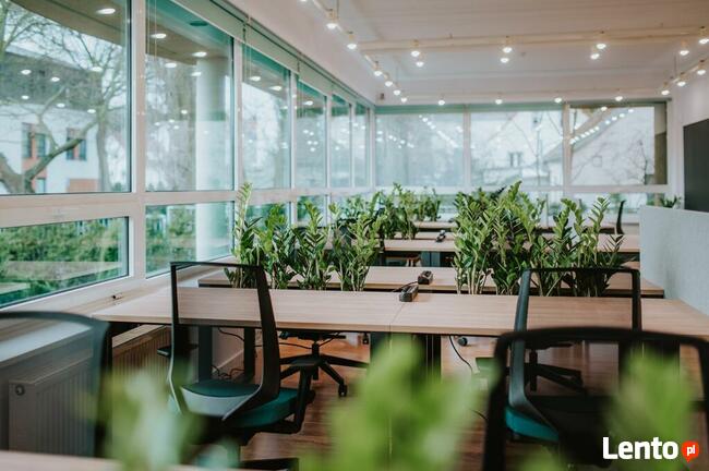 Przestrzeń coworkingowa - Coworking - LesnaHub - Sopot