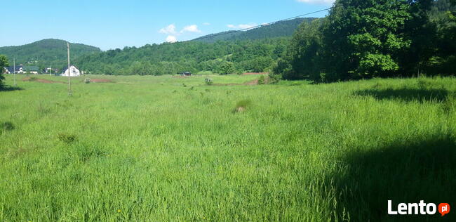 Sprzedam działkę rolną