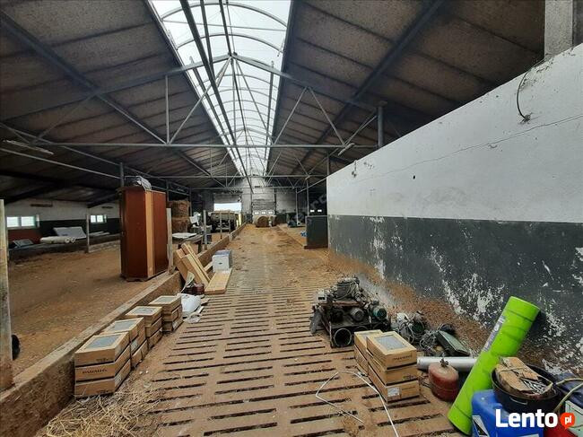 Na sprzedaż działki rolne w miejscowości Skurpie zabudowane