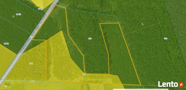 Sprzedam działkę 7 ha w okolicach wsi Rywociny