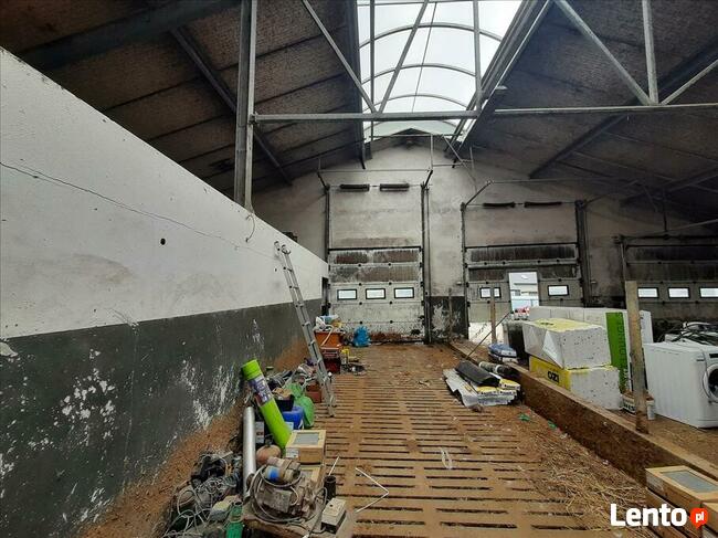 Na sprzedaż działki rolne w miejscowości Skurpie zabudowane