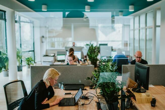 Przestrzeń coworkingowa - Coworking - LesnaHub - Sopot