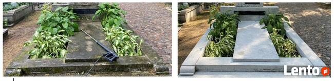 Sprzątanie grobów, czyszczenie pomników, niedrogo, dokładnie