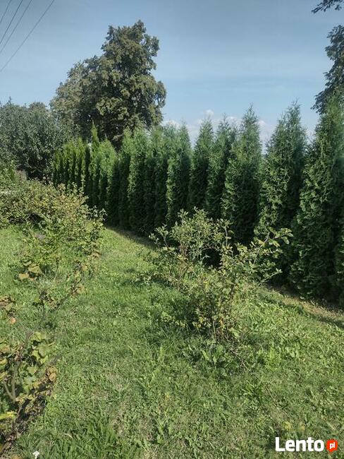 Sprzedam dom, siedlisko, gospodarstwo rolne 7 ha