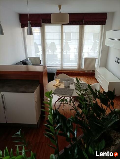 Wynajmę 2 pokojowe przytulne mieszkanie z tarasem!