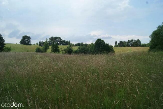 DUŻA DZIAŁKA nad jeziorem