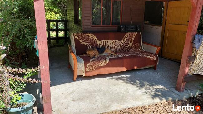 Sprzedam Działkę ROD Kraków Cichy Kącik