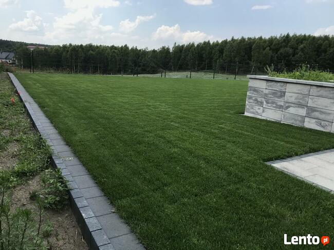 Nawadniania ogrodów. Usługi ogrodnicze. Trawniki