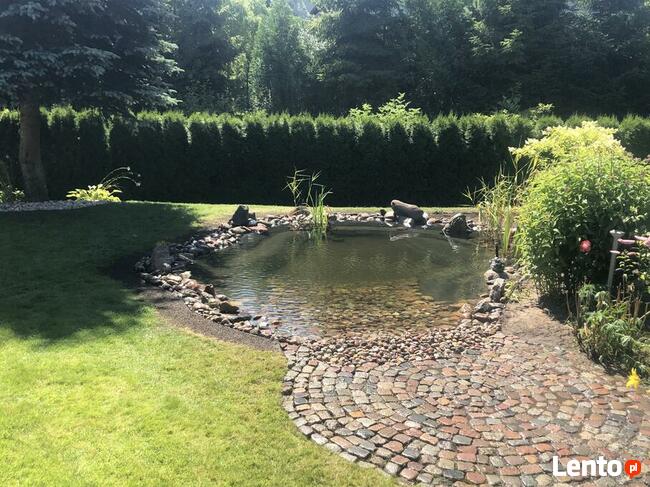 Nawadniania ogrodów. Usługi ogrodnicze. Trawniki