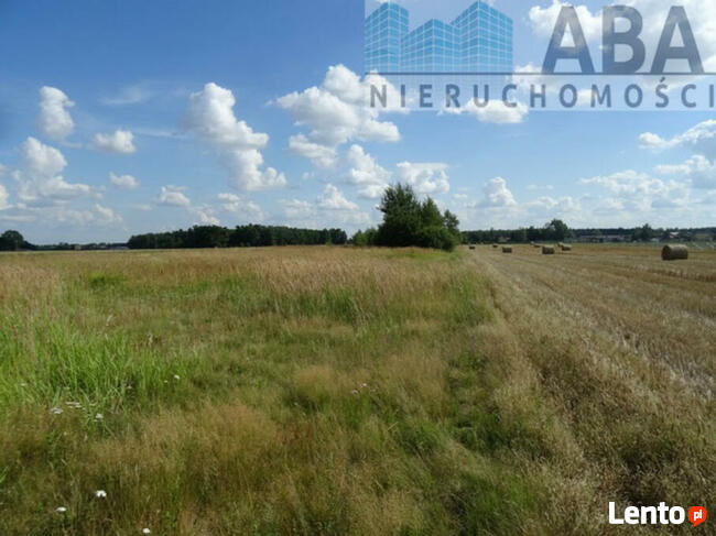 Działki budowlane w miejscowości Żuki gm. Turek