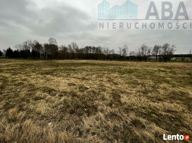 Działki w miejscowości Dębicz gm. Kramsk