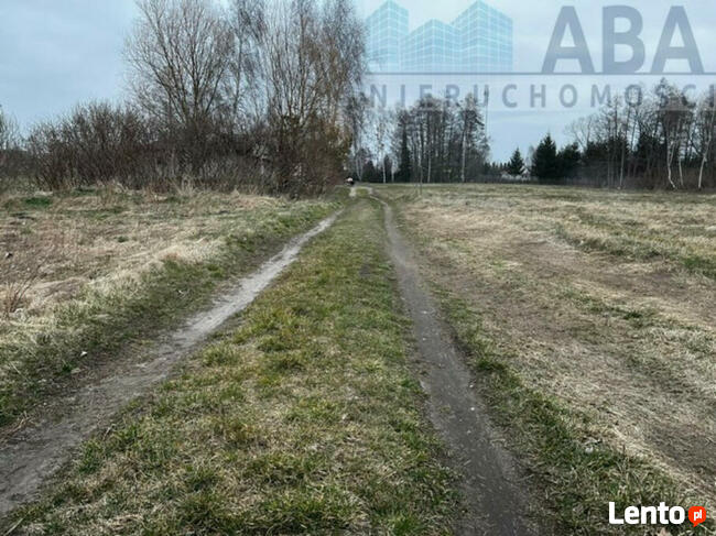 Działki w miejscowości Dębicz gm. Kramsk