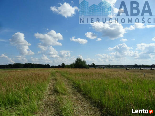 Działki budowlane w miejscowości Żuki gm. Turek