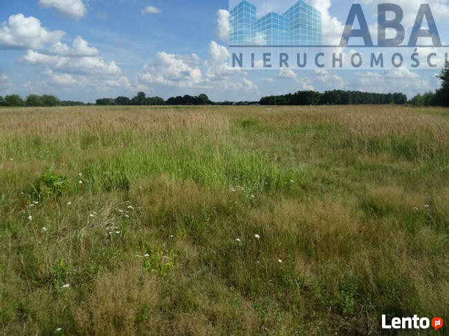 Działki budowlane w miejscowości Żuki gm. Turek