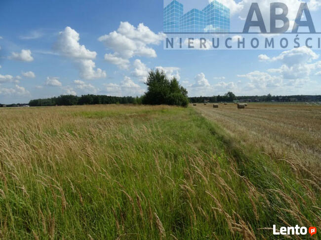 Działki budowlane w miejscowości Żuki gm. Turek