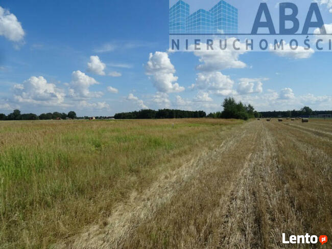 Działki budowlane w miejscowości Żuki gm. Turek