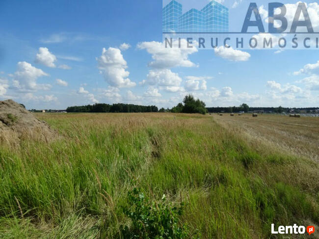 Działki budowlane w miejscowości Żuki gm. Turek