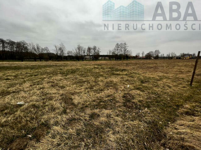 Działki w miejscowości Dębicz gm. Kramsk