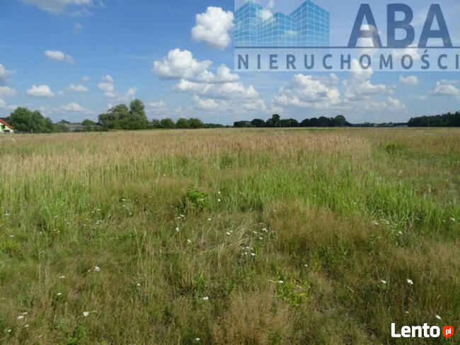 Działki budowlane w miejscowości Żuki gm. Turek