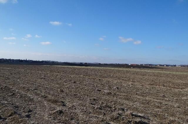 Działka rolna Cianowice Duże gm. Skała Skała