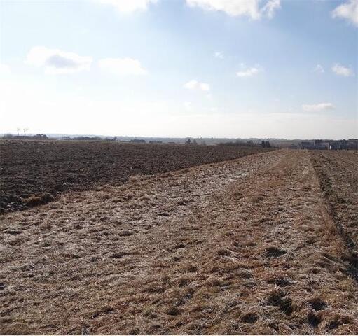 Działka rolna Cianowice Duże gm. Skała Skała