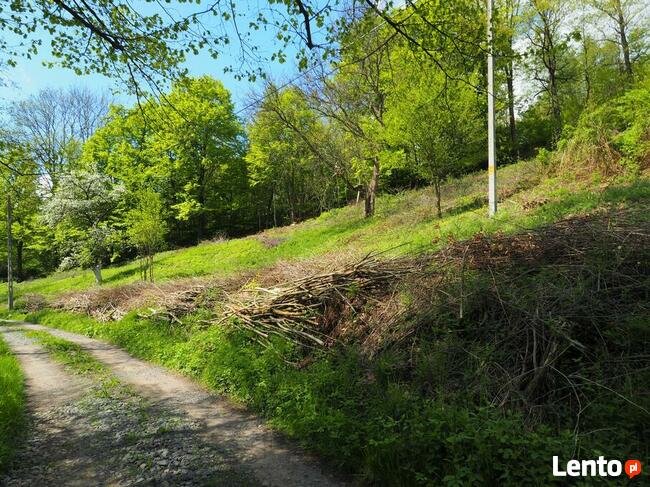 Grunt do zabudowy mieszkaniowej, Pławna Górna.