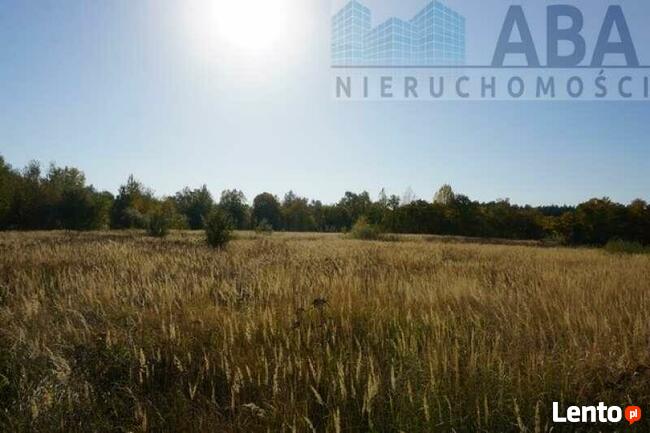 Perze gm. Słupca- działka inwestycyjna/ komercyjna - 1,1444