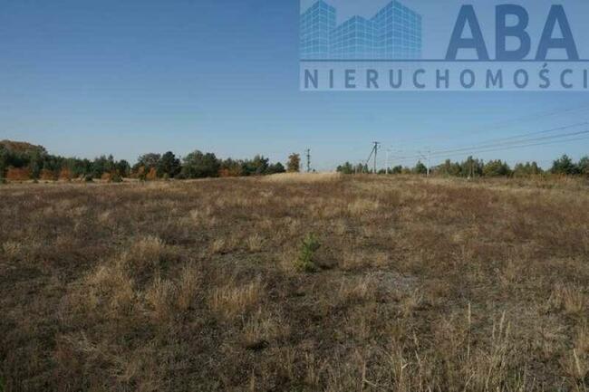 Kolonia Golina gm. Golina- działka rolna o pow. 4,8400 ha