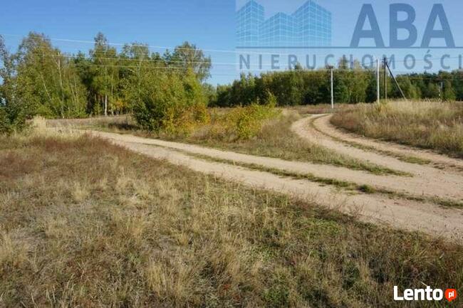 Kolonia Golina gm. Golina- działka rolna o pow. 4,8400 ha