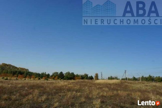 Kolonia Golina gm. Golina- działka rolna o pow. 4,8400 ha