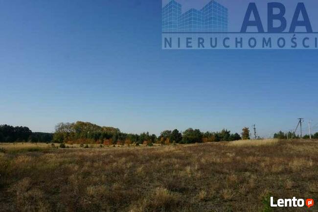 Kolonia Golina gm. Golina- działka rolna o pow. 4,8400 ha