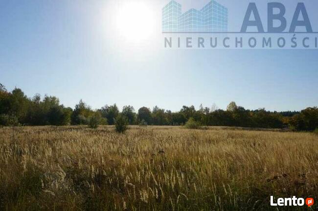 Perze gm. Słupca- działka inwestycyjna/ komercyjna - 1,1444