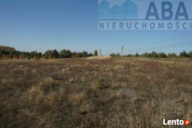 Kolonia Golina gm. Golina- działka rolna o pow. 4,8400 ha