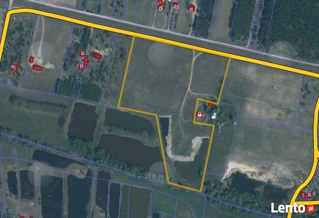 Kolonia Golina gm. Golina- działka rolna o pow. 4,8400 ha