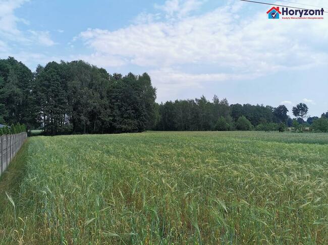 Duża działka pod Opocznem