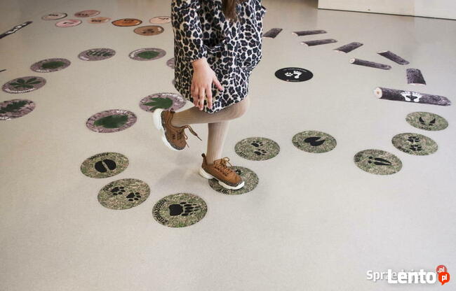 Las - ścieżka edukacyjna-gry korytarzowe, naklejki podłogowe