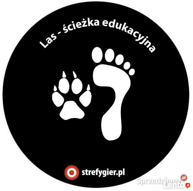 Las - ścieżka edukacyjna-gry korytarzowe, naklejki podłogowe