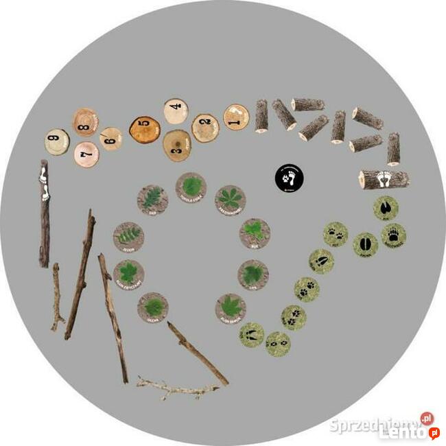 Las - ścieżka edukacyjna-gry korytarzowe, naklejki podłogowe