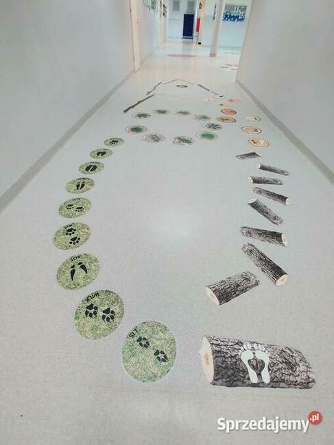 Las - ścieżka edukacyjna-gry korytarzowe, naklejki podłogowe
