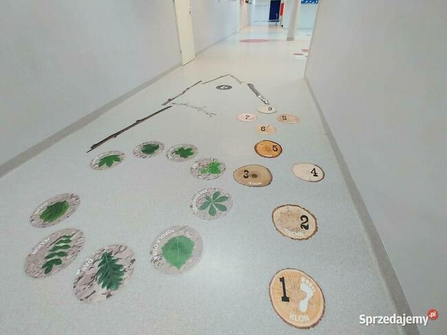 Las - ścieżka edukacyjna-gry korytarzowe, naklejki podłogowe