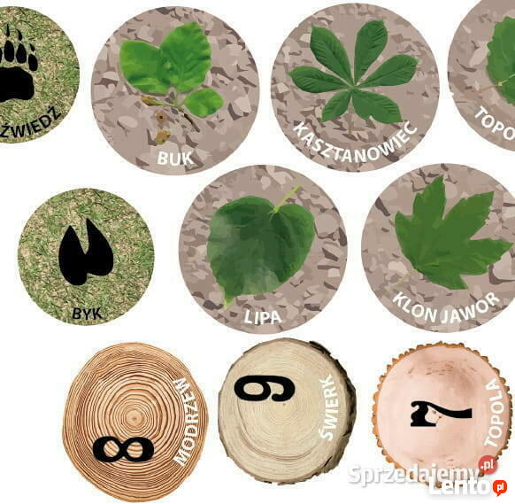 Las - ścieżka edukacyjna-gry korytarzowe, naklejki podłogowe