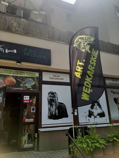 Psi fryzjer, Sklep Wędkarski, Zoologiczny PLUTO Radom