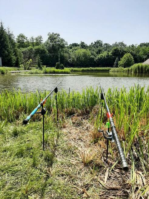 Psi fryzjer, Sklep Wędkarski, Zoologiczny PLUTO Radom