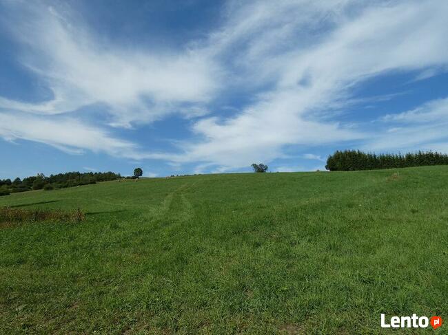 Działka 9809 m2 Beskid Niski/ Bieszczady