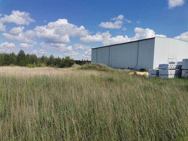Hala przemysłowa blisko Wrocław-Leśnica